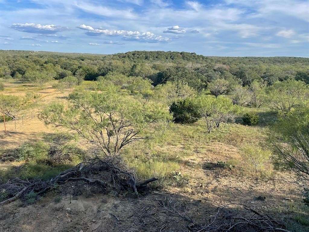 60.2 Acres of Recreational Land for Sale in Ranger, Texas