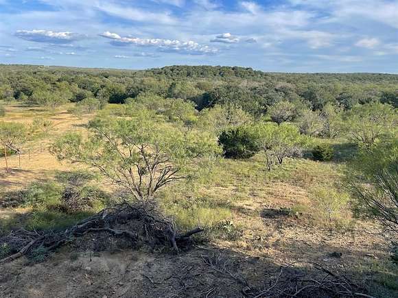 65.91 Acres of Recreational Land for Sale in Ranger, Texas