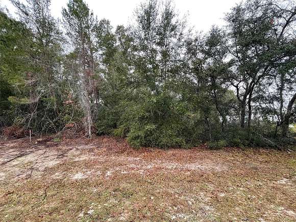 0.24 Acres of Residential Land for Sale in Ocala, Florida