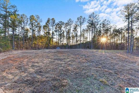 135 Acres of Recreational Land for Sale in Oneonta, Alabama