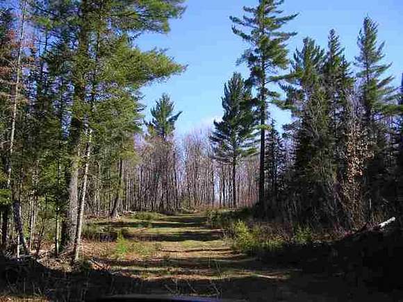 240 Acres of Recreational Land for Sale in Ralph, Michigan