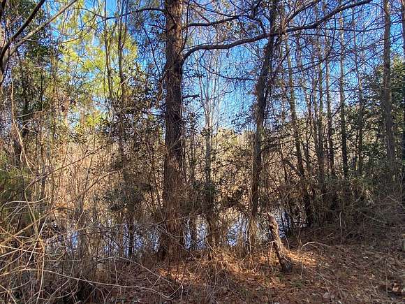 229.58 Acres of Recreational Land for Sale in Maxton, North Carolina