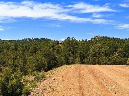 40.1 Acres of Land for Sale in Westcliffe, Colorado