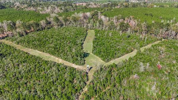 150 Acres of Land for Sale in Liberty, Mississippi