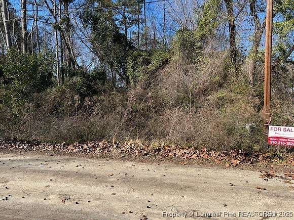 1.07 Acres of Residential Land for Sale in Clarkton, North Carolina