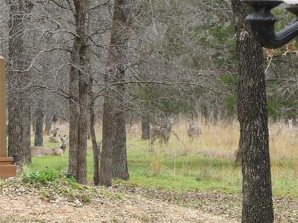 5.5 Acres of Residential Land with Home for Sale in Decatur, Texas