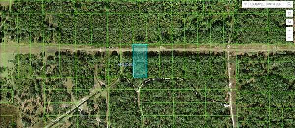 1 Acre of Land for Sale in Winter Haven, Florida