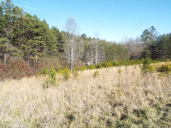 10 Acres of Residential Land for Sale in Murphy, North Carolina