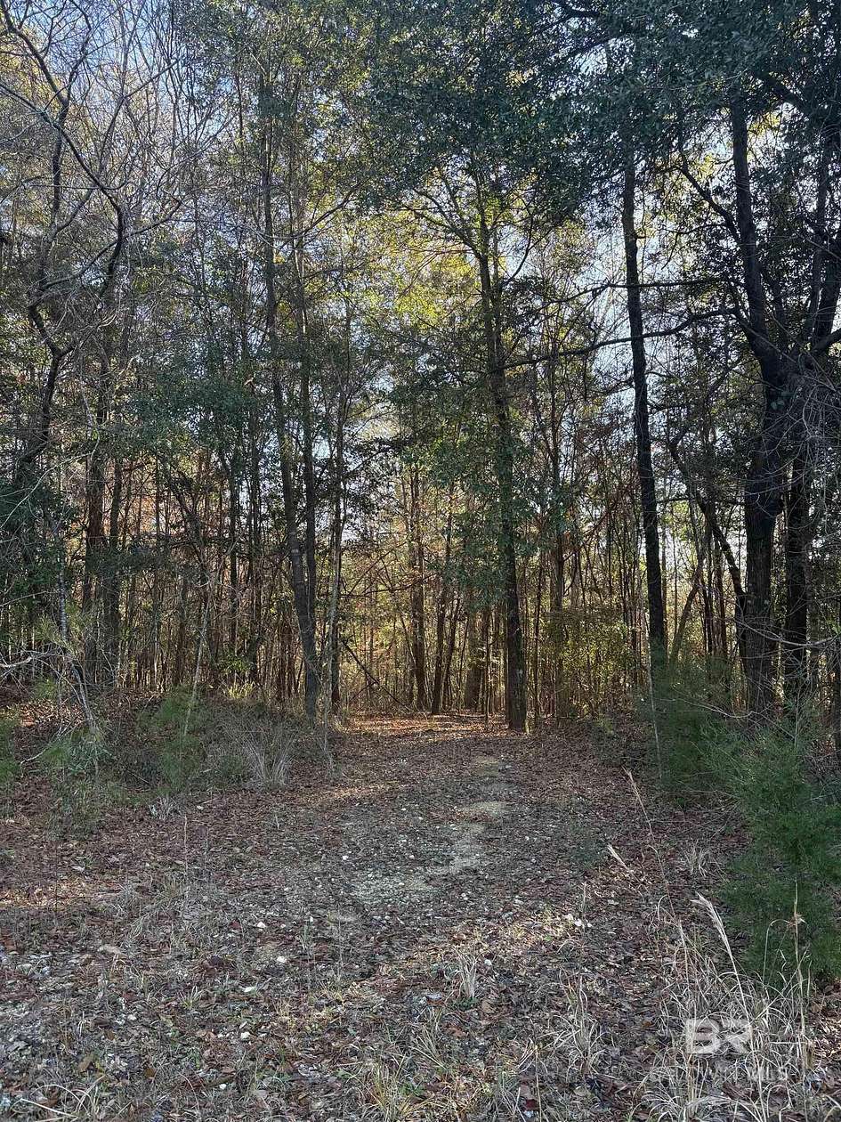 34 Acres of Land for Sale in Evergreen, Alabama