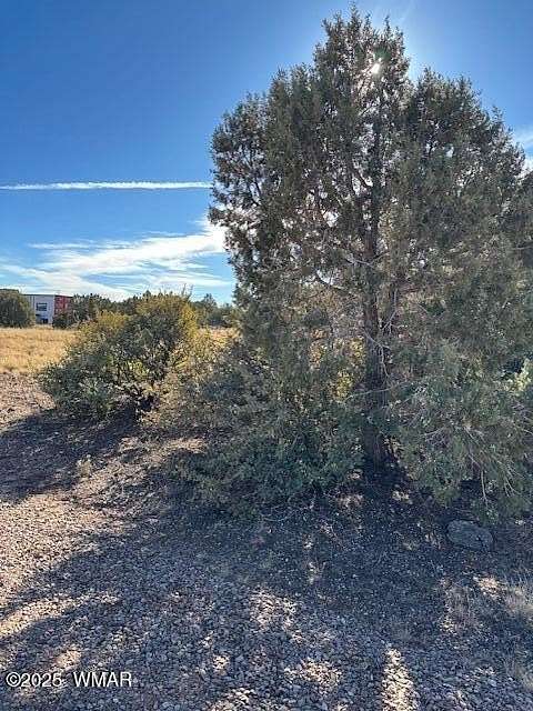 0.23 Acres of Residential Land for Sale in Show Low, Arizona