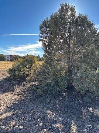 0.23 Acres of Residential Land for Sale in Show Low, Arizona