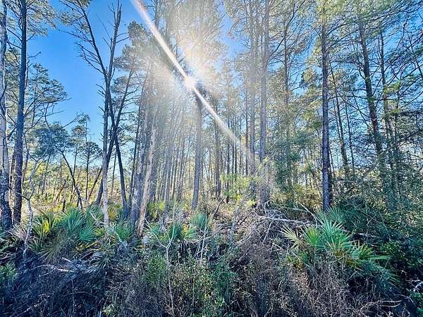 1 Acre of Residential Land for Sale in Carrabelle, Florida