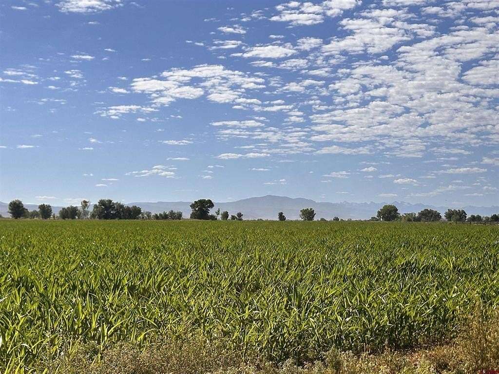 128 Acres of Agricultural Land for Sale in Delta, Colorado