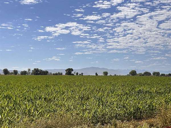128 Acres of Agricultural Land for Sale in Delta, Colorado
