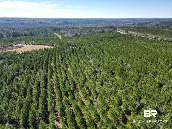 5 Acres of Residential Land for Sale in Atmore, Alabama