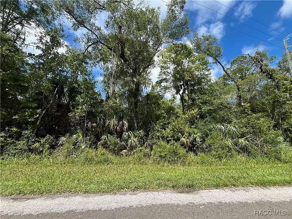 1.17 Acres of Residential Land for Sale in Crystal River, Florida