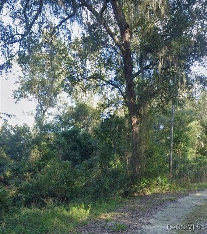 0.14 Acres of Land for Sale in Dade City, Florida