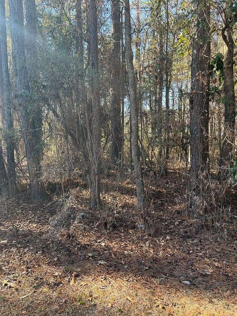 0.4 Acres of Residential Land for Sale in Vienna, Georgia