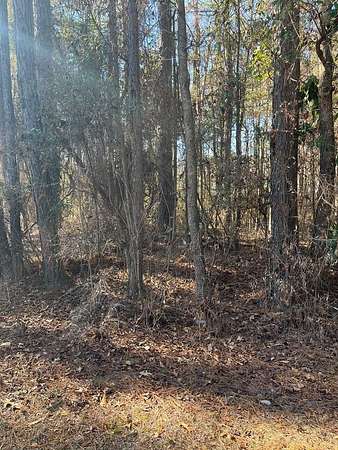 0.4 Acres of Residential Land for Sale in Vienna, Georgia