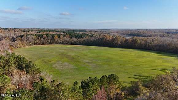 44.59 Acres of Agricultural Land for Sale in Lamar, Mississippi