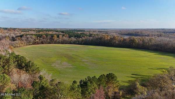 44.6 Acres of Agricultural Land for Sale in Lamar, Mississippi