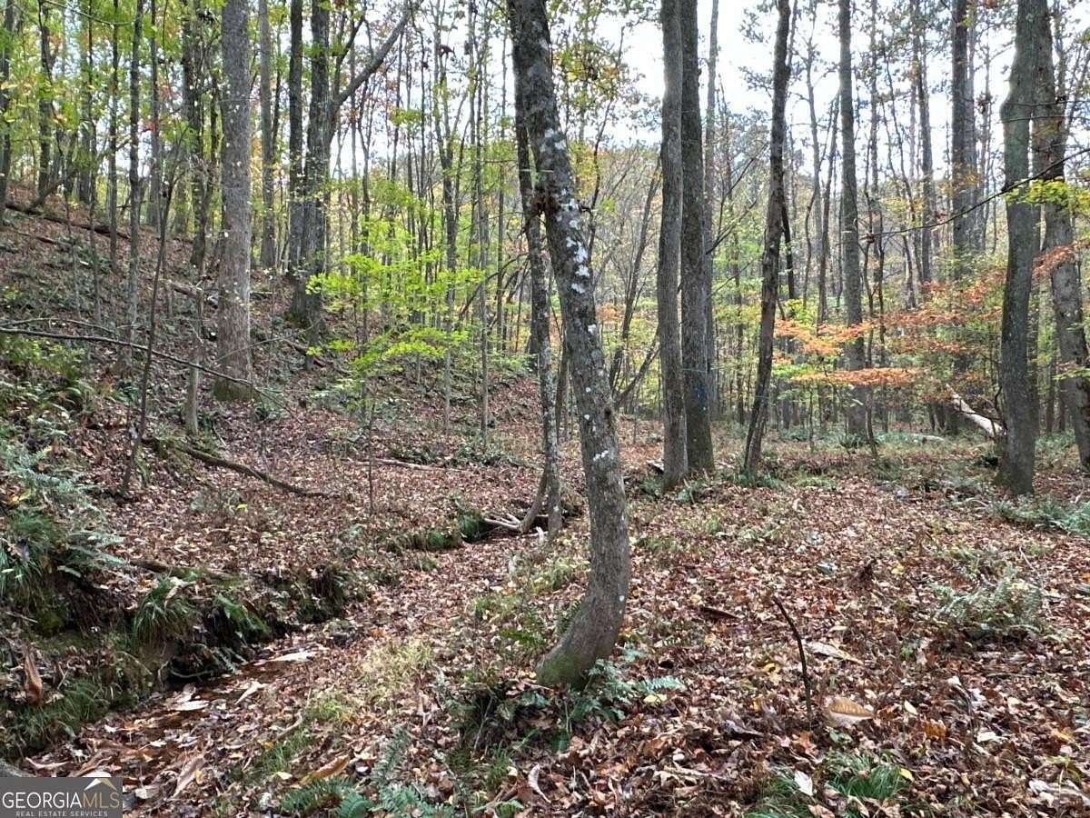 80 Acres of Recreational Land for Sale in Rockmart, Georgia