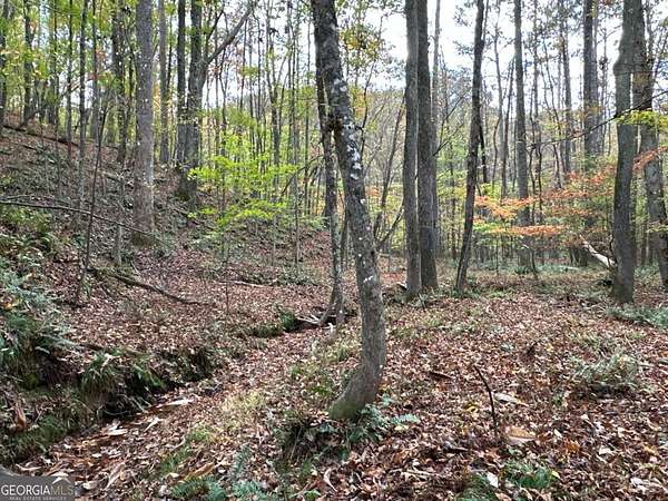 80 Acres of Recreational Land for Sale in Rockmart, Georgia