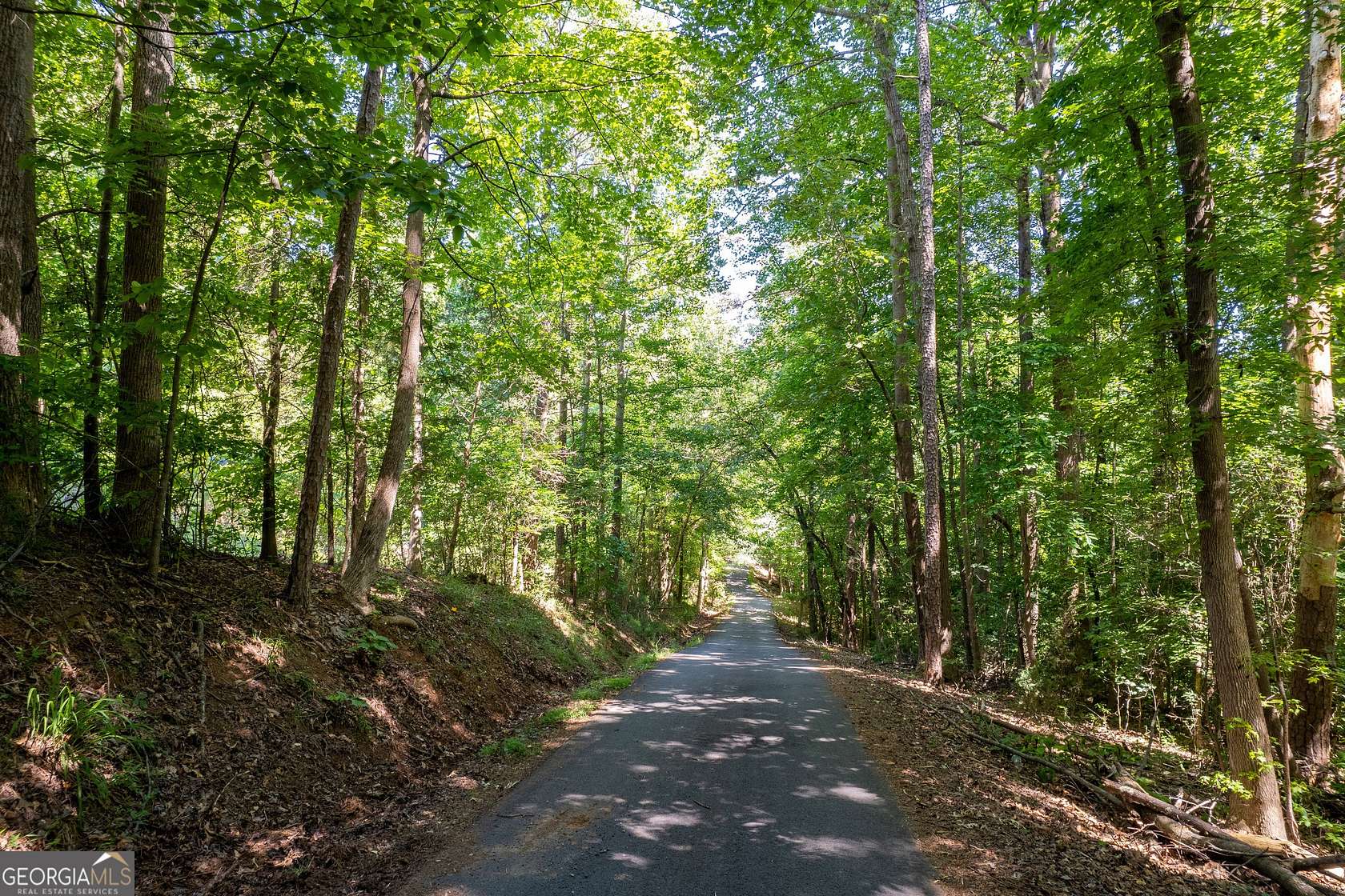 2.3 Acres of Land for Sale in Lavonia, Georgia