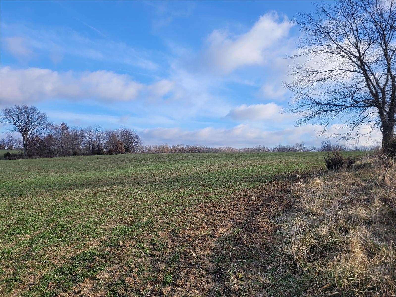 26.5 Acres of Agricultural Land for Sale in Middletown, Missouri