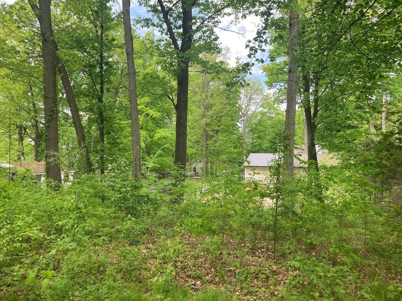 0.21 Acres of Residential Land for Sale in Gowen, Michigan