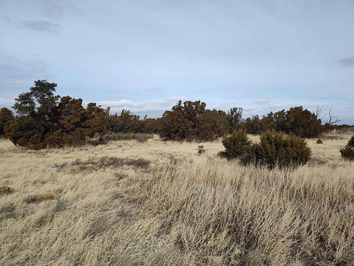 1 Acre of Residential Land for Sale in Mountainair, New Mexico