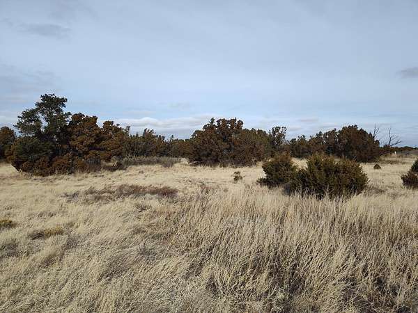 1 Acre of Residential Land for Sale in Mountainair, New Mexico
