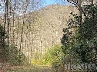 211.67 Acres of Recreational Land for Sale in Scaly Mountain, North Carolina