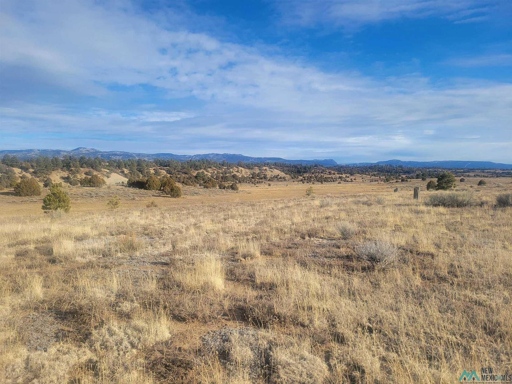 20.04 Acres of Land for Sale in Chama, New Mexico