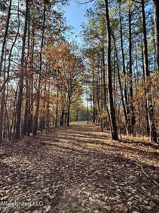 16.35 Acres of Land for Sale in Lamar, Mississippi