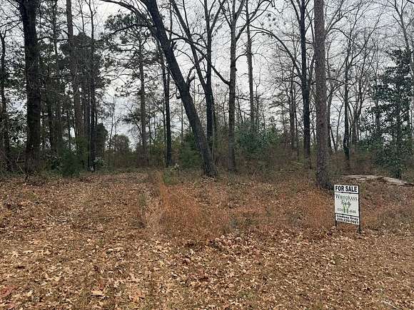 0.84 Acres of Residential Land for Sale in Georgetown, Georgia