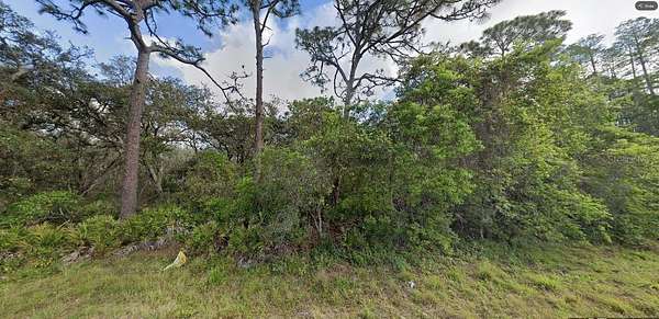 1.3 Acres of Residential Land for Sale in Polk City, Florida