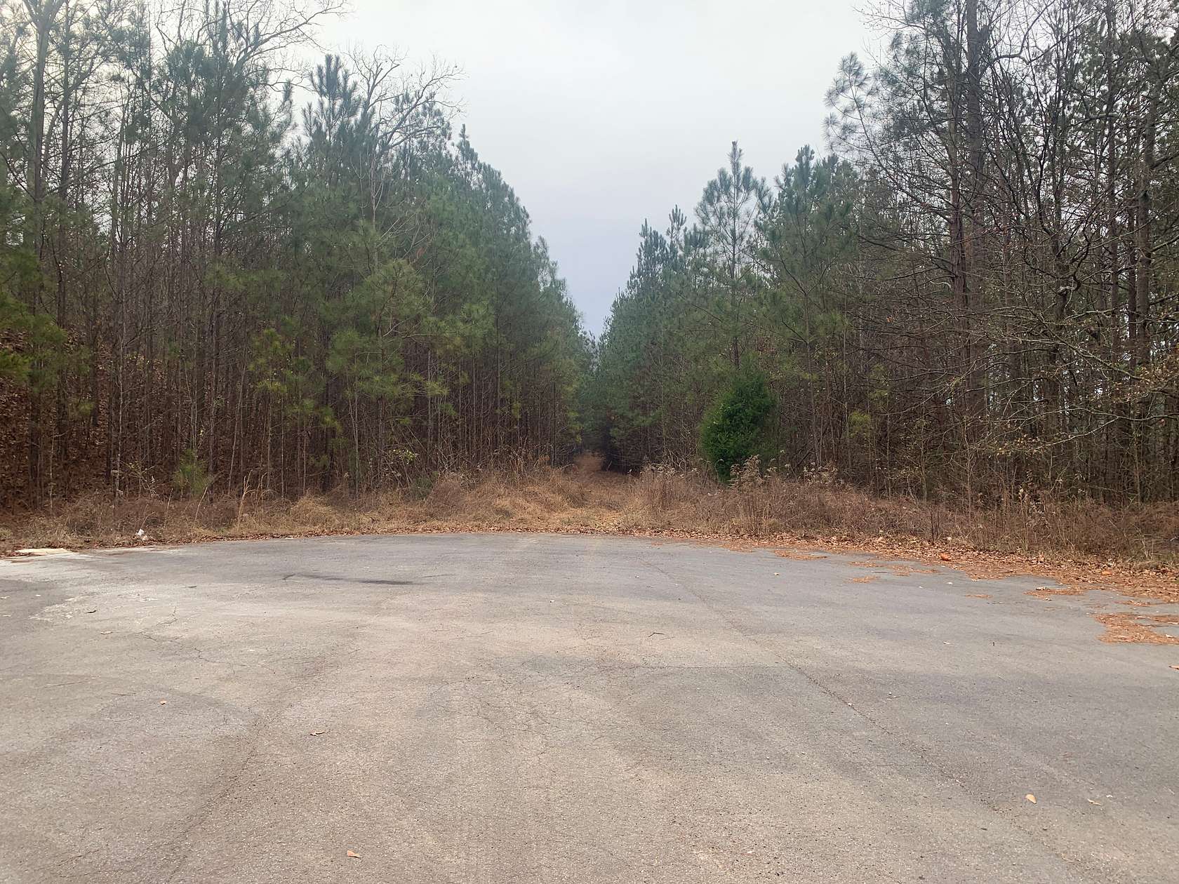 13 Acres of Land for Sale in Rome, Georgia