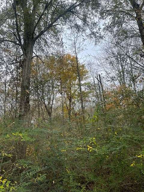 31.3 Acres of Recreational Land & Farm for Sale in Omaha, Texas