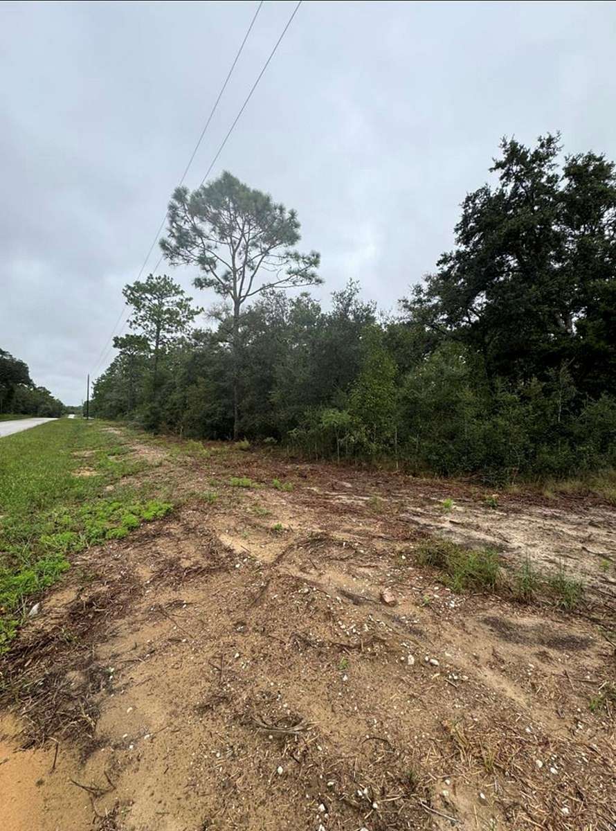 1 Acre of Residential Land for Sale in Dunnellon, Florida