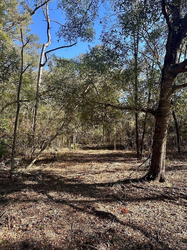 11.22 Acres of Agricultural Land for Sale in Bell, Florida