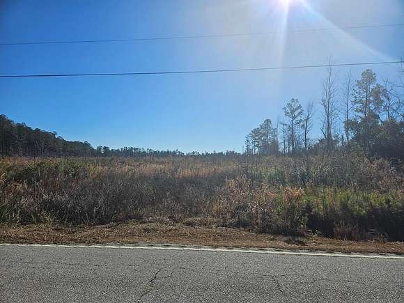 27 Acres of Recreational Land for Sale in Olanta, South Carolina