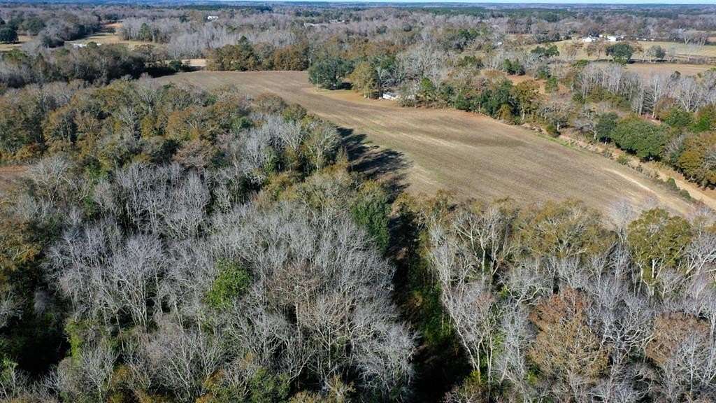 39 Acres of Recreational Land for Sale in Slocomb, Alabama