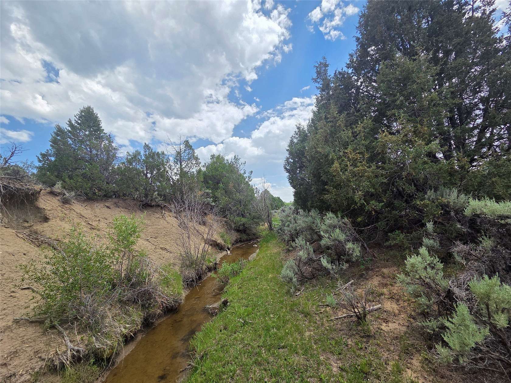 167 Acres of Recreational Land for Sale in Tierra Amarilla, New Mexico