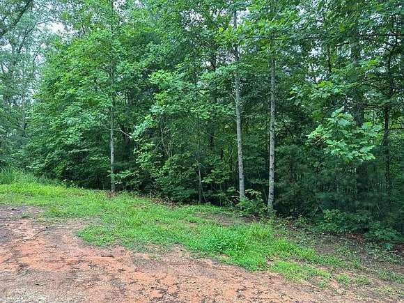 5.03 Acres of Residential Land for Sale in Robbinsville, North Carolina