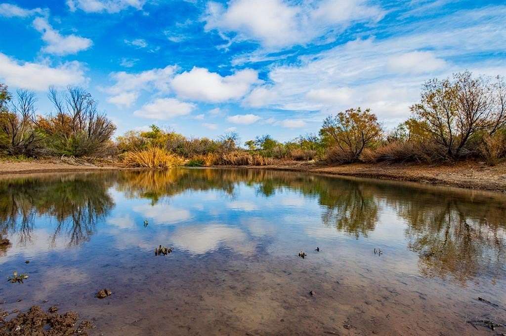 317 Acres of Recreational Land & Farm for Sale in Colorado City, Texas