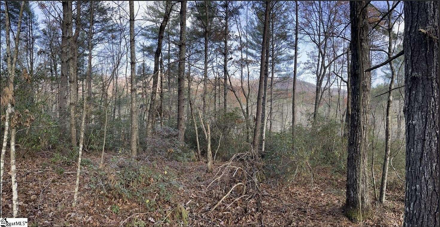 4 Acres of Land for Sale in Marietta, South Carolina