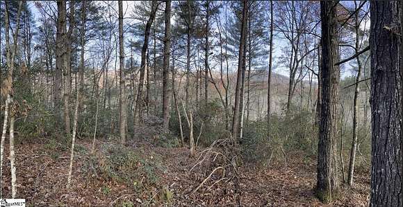 4 Acres of Land for Sale in Marietta, South Carolina