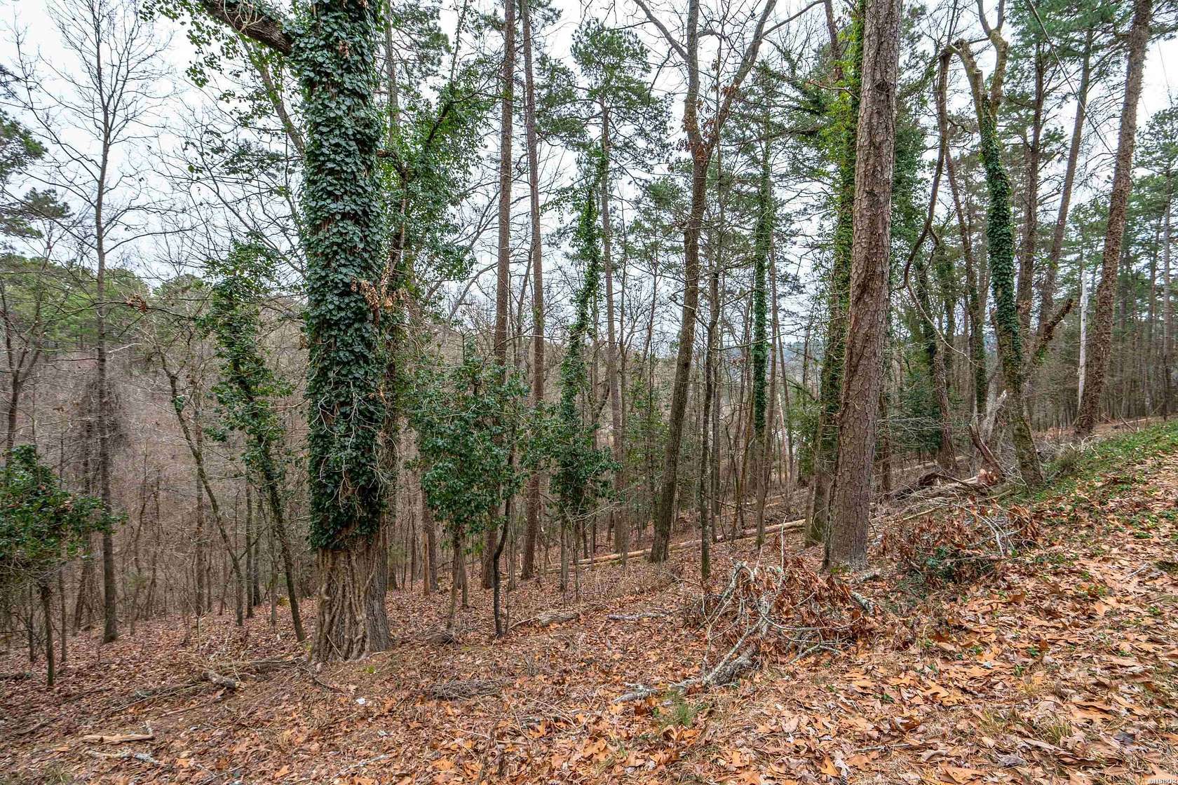 7.25 Acres of Residential Land for Sale in Hot Springs, Arkansas