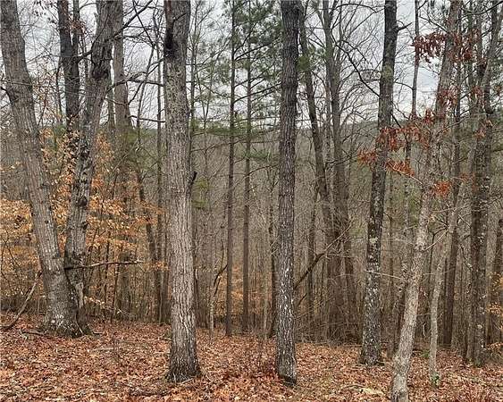 4 Acres of Residential Land for Sale in Talking Rock, Georgia